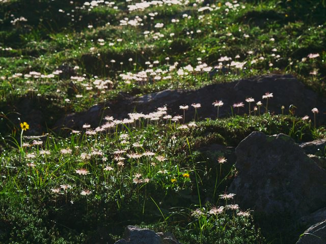 たか耳鼻咽喉科医院 院長撮影写真