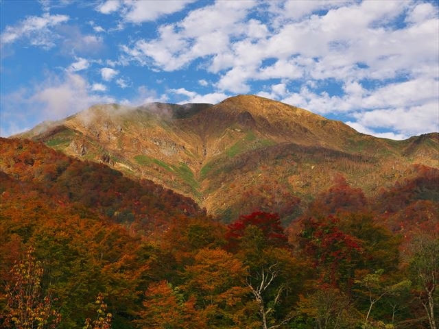 たか耳鼻咽喉科医院 院長撮影写真