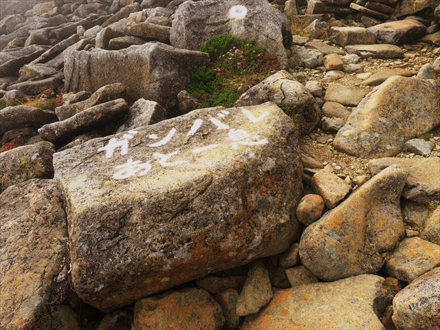 たか耳鼻咽喉科医院 院長撮影写真