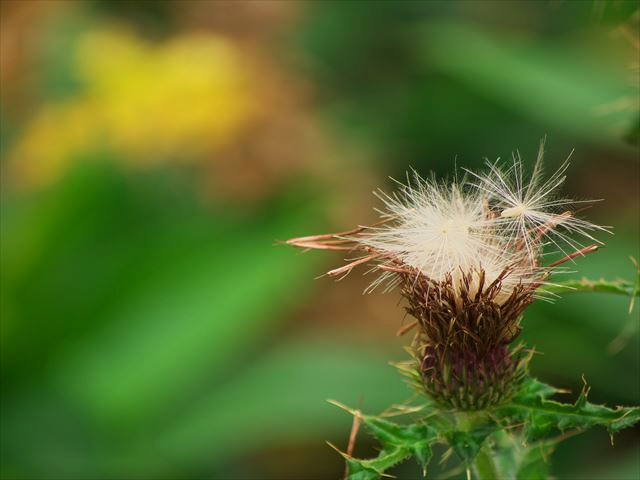 たか耳鼻咽喉科医院 院長撮影写真